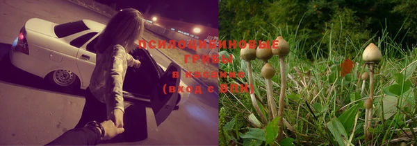 скорость Алексеевка